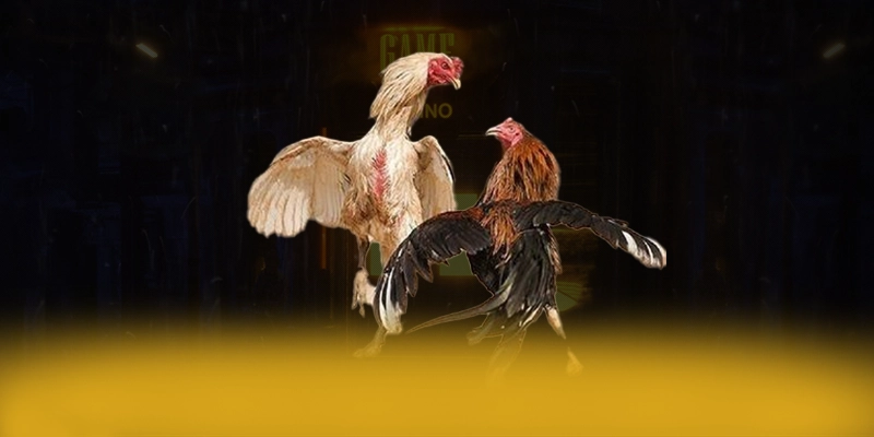 GA6789 - Sảnh game được cộng đồng săn đón 2025 – Khám phá chính sách thưởng tại GA6789