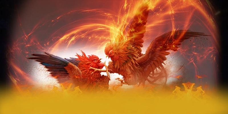 DAGA88 - Cổng game bài tối ưu tại Việt Nam