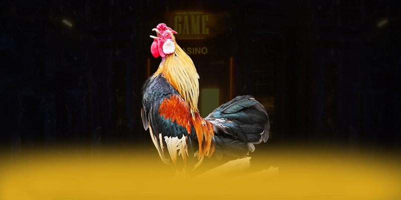 
Khám phá ngay DAGA88 - Sảnh game được đánh giá cao số 1 Việt Nam
