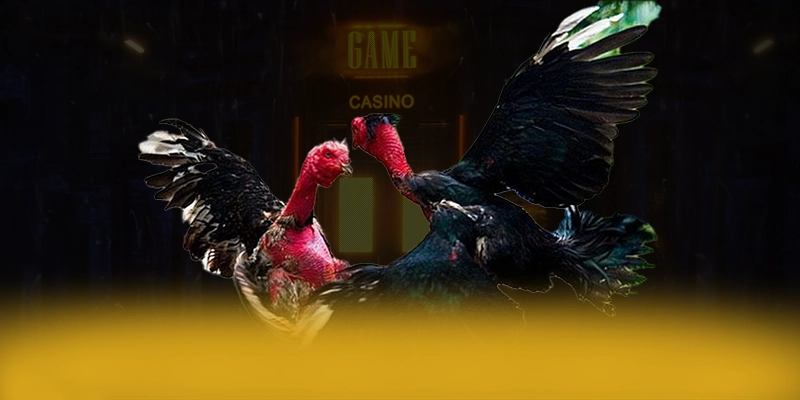 tài xỉu online - Thương hiệu mượt mà 2025 tài xỉu online - Thương hiệu mượt mà 2025