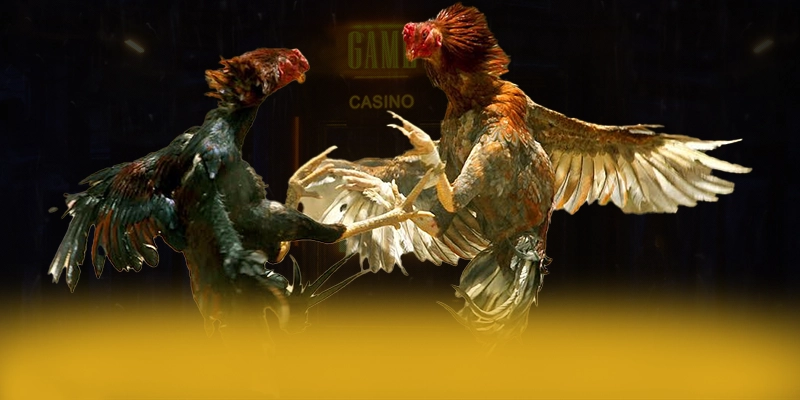 N88 - Ứng dụng giải trí được cộng đồng yêu thích nhất được đánh giá cao – Điểm qua N88 N88 - Ứng dụng giải trí được cộng đồng yêu thích nhất được đánh giá cao – Điểm qua N88