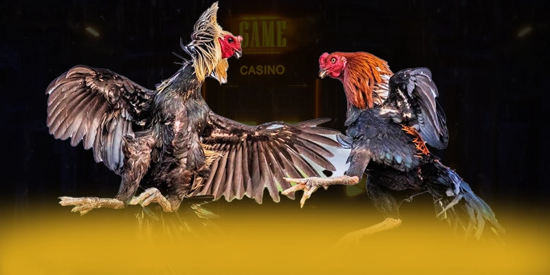 DAGA88 - Cổng game bài đáng trải nghiệm hiện nay