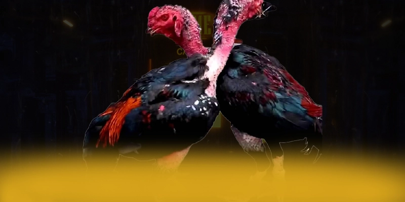 VWIN - Nền tảng cá cược có danh mục game hấp dẫn đang làm mưa làm gió trên thị trường – Khám phá những game hot đến từ VWIN VWIN - Nền tảng cá cược có danh mục game hấp dẫn đang làm mưa làm gió trên thị trường – Khám phá những game hot đến từ VWIN