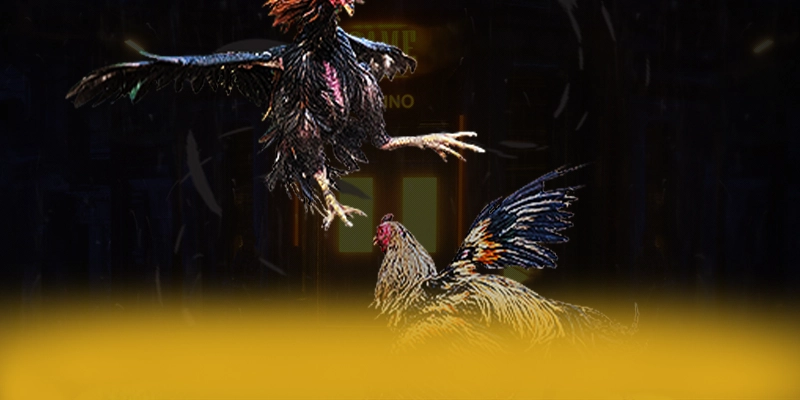 DAGA88 - Tổng kết hành trình phát triển theo đánh giá từ người dùng.