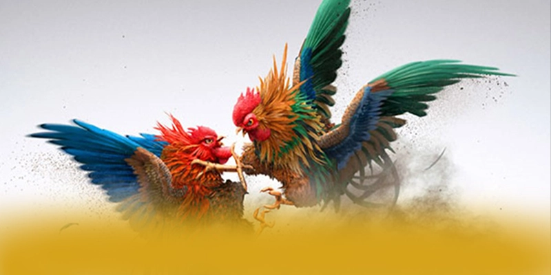 FAFA191 - Cổng game hào phóng được cộng đồng game thủ yêu thích – Khám phá chính sách thưởng tại FAFA191