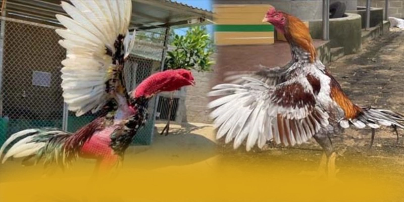 tài xỉu online - Thương hiệu game trực tuyến ưu đãi khủng trên thị trường – Trải nghiệm ưu đãi hấp dẫn cùng tài xỉu online