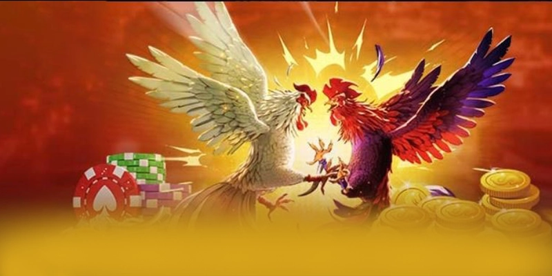 FAFA191 - Hệ thống trò chơi trực tuyến cung cấp hàng trăm tựa game đẳng cấp đang làm mưa làm gió trên thị trường – Tìm hiểu thêm về các sản phẩm của FAFA191