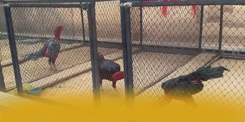 tài xỉu online – Sân chơi an toàn tuyệt đối, đang làm mưa làm gió trên thị trường.