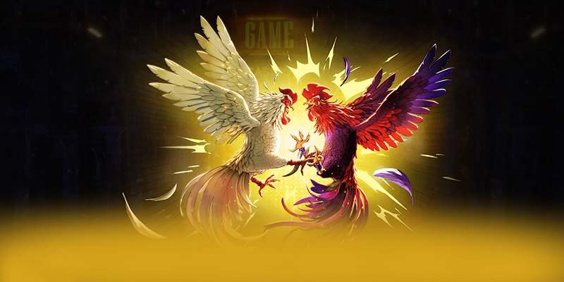 tài xỉu online - Kết luận & gợi ý trải nghiệm một cách tổng quan.