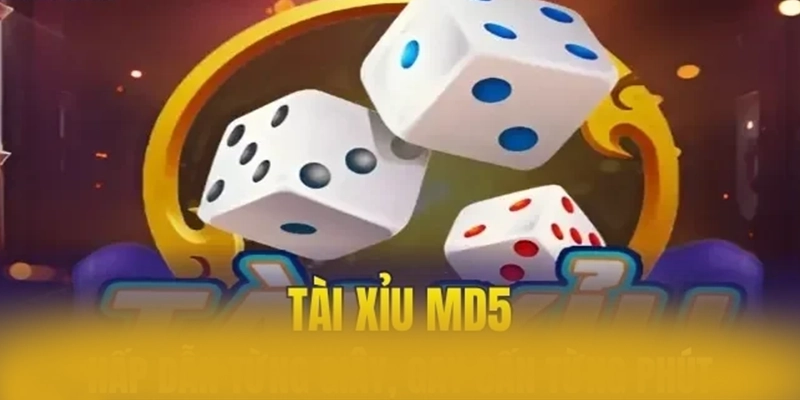Đánh giá toàn diện 8XBET - Nhà cái chất lượng cao trên thị trường Đánh giá toàn diện 8XBET - Nhà cái chất lượng cao trên thị trường