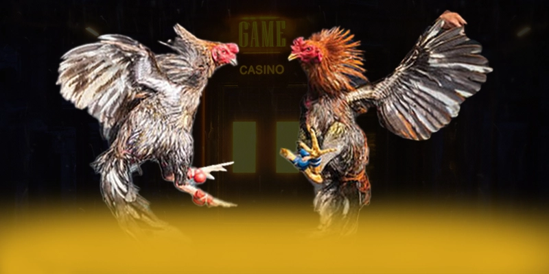 Gioi thieu Trực tiếp bóng đá - Cong game bai chat luong so 1 Viet Nam Gioi thieu Trực tiếp bóng đá - Cong game bai chat luong so 1 Viet Nam