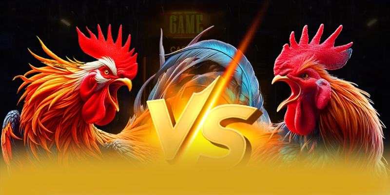 8XBET - Đánh giá cuối cùng — Nhà cái đáng tin cậy dành cho mọi người chơi 8XBET - Đánh giá cuối cùng — Nhà cái đáng tin cậy dành cho mọi người chơi