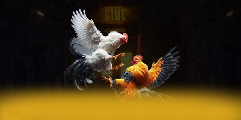 Review chi tiết 8XBET - Nhà cái uy tín chất lượng cao tại Việt Nam Review chi tiết 8XBET - Nhà cái uy tín chất lượng cao tại Việt Nam